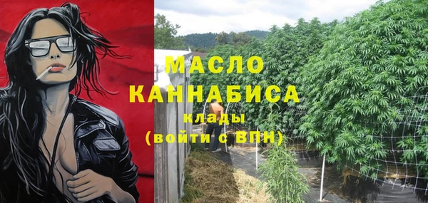 шишки Пестово