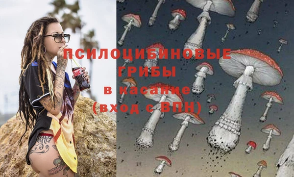 шишки Пестово