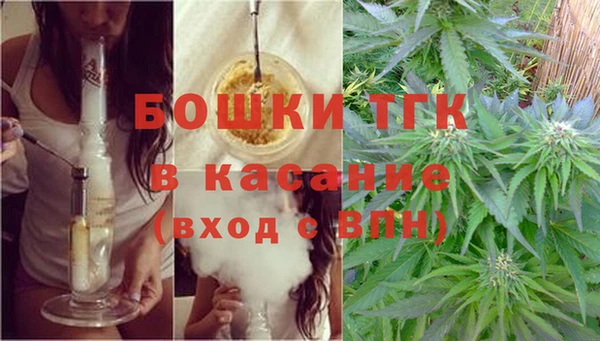 шишки Пестово