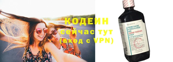 a pvp Пересвет
