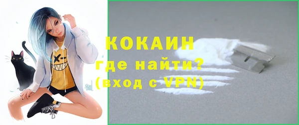 a pvp Пересвет