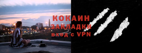 a pvp Пересвет