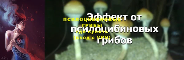 шишки Пестово