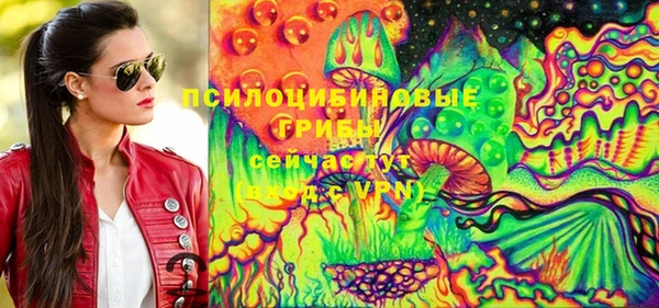 шишки Пестово