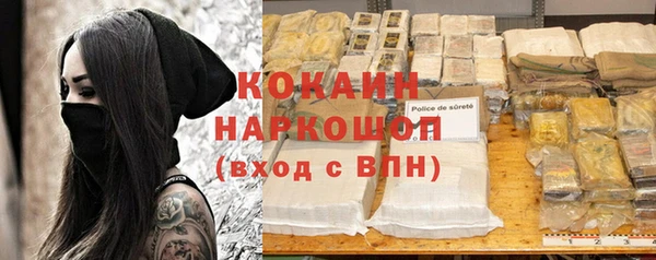 шишки Пестово