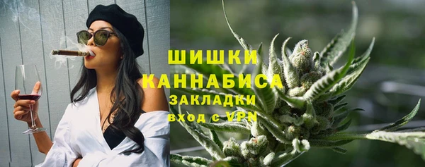шишки Пестово