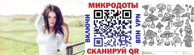 Галлюциногенные грибы мицелий  сайты даркнета наркотические препараты  Тарко-Сале  купить  цена 